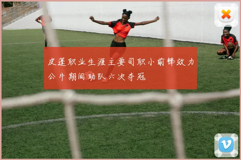 皮蓬职业生涯主要司职小前锋效力公牛期间助队六次夺冠