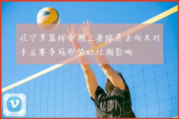 辽宁男篮转会期主要球员去向及对季后赛争冠形势的短期影响